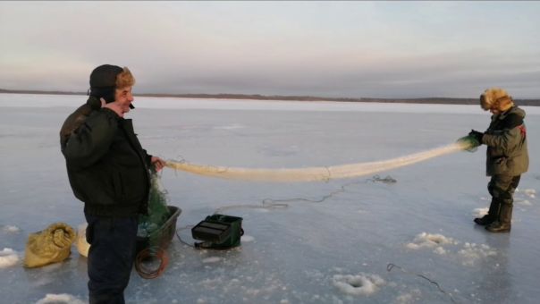 сети для зимней рыбалки