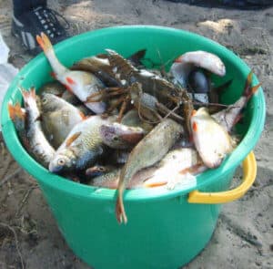 Что необходимо брать на рыбалку