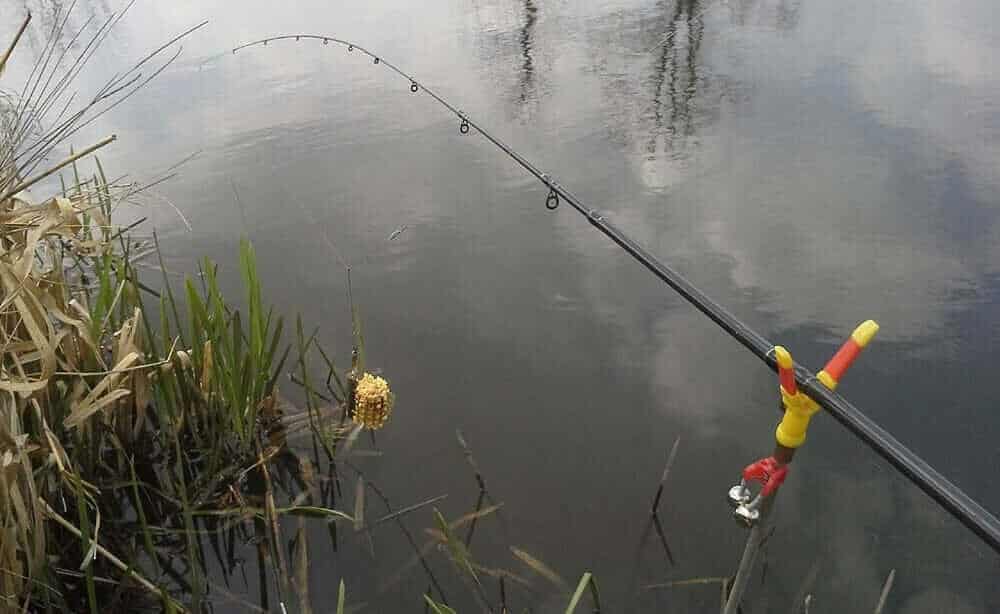 Рыбалка на фидер весной на реке