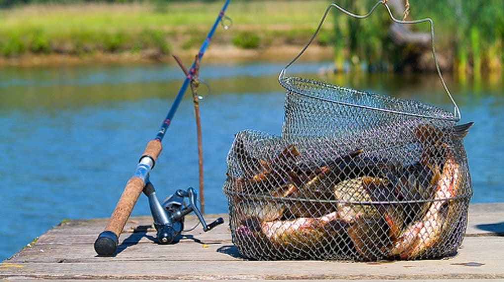Основные правила ловли рыбы