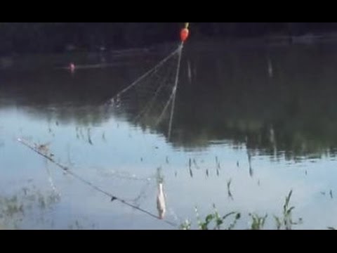 Рыбалка на косынку летом